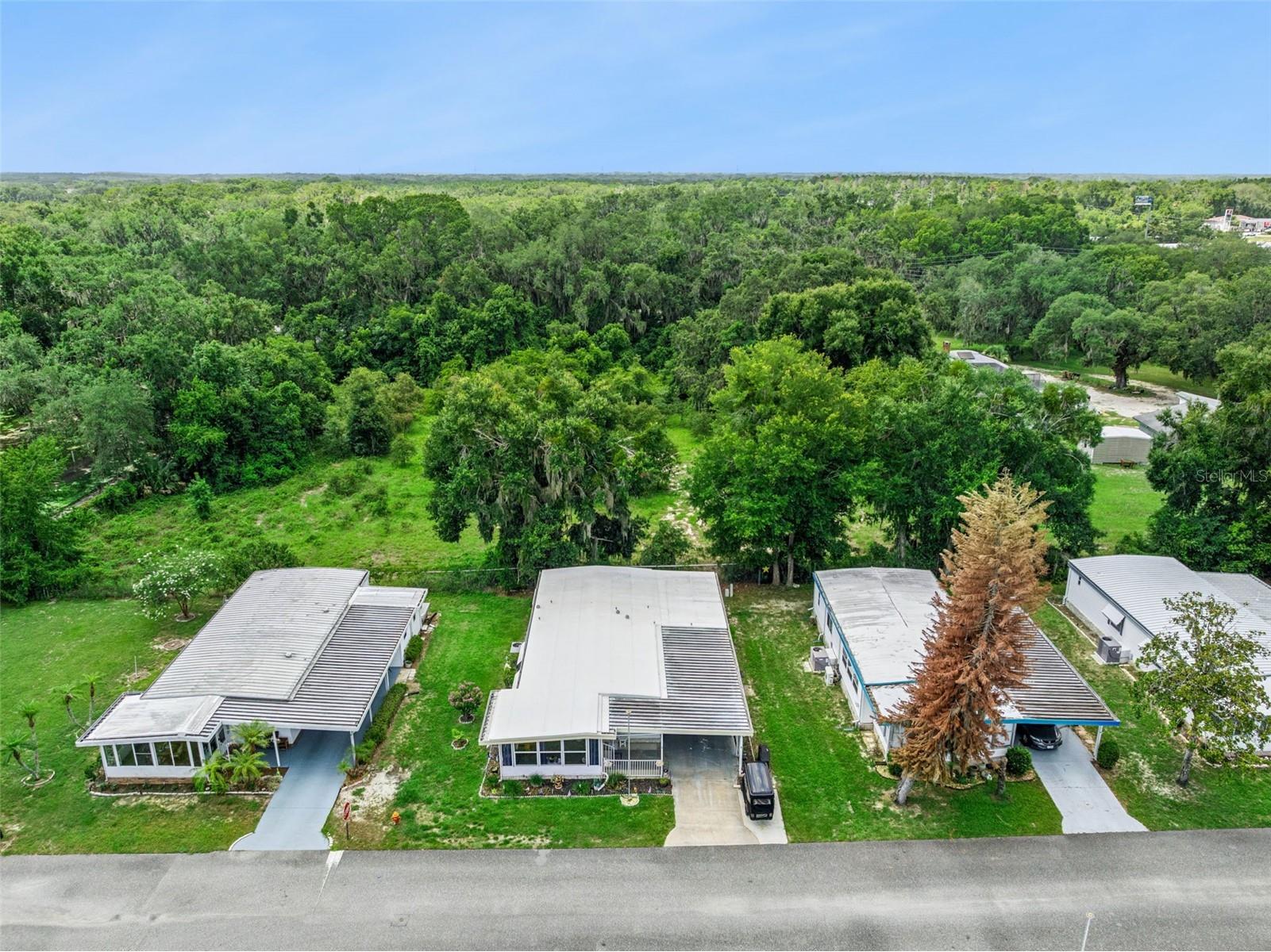 104 Oleander Cove Leesburg FL 34748 - PALATLAKAHA RIVER G5114927 image25