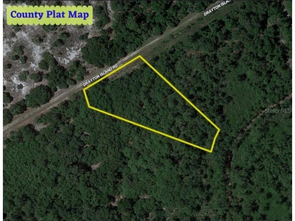 104 Osprey Circle Georgetown FL 32139 OM654648 image1