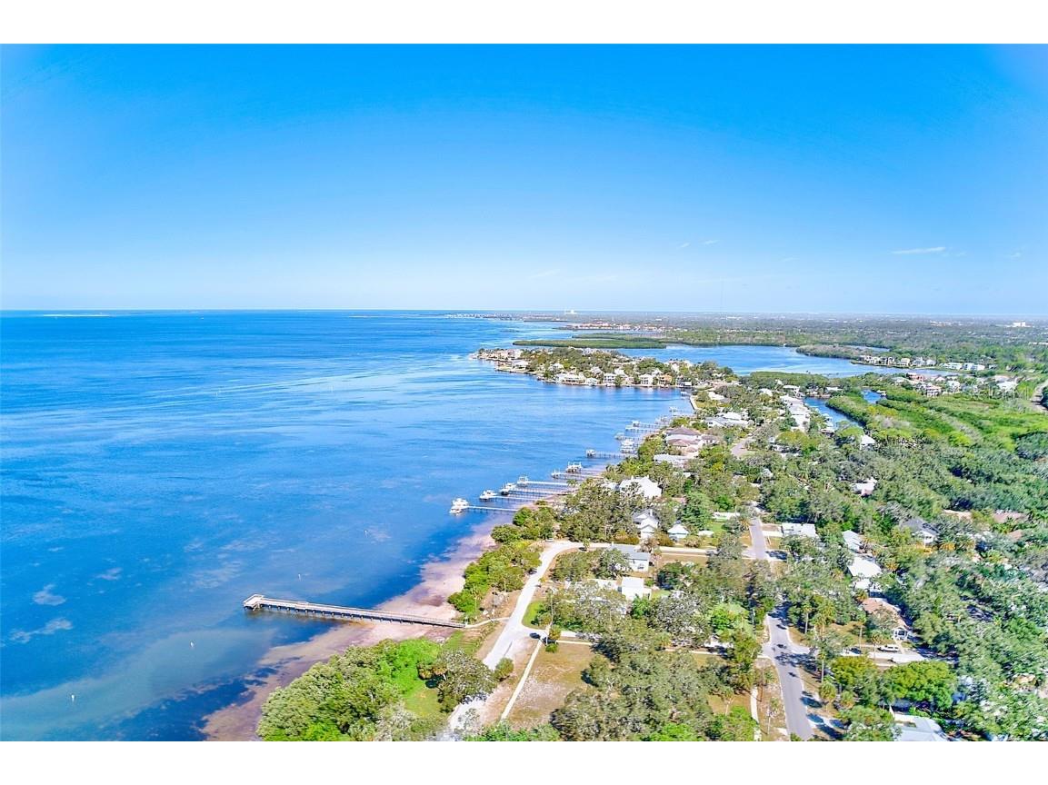 104 S Mayo Street Crystal Beach FL 34681 TB8439449 image9