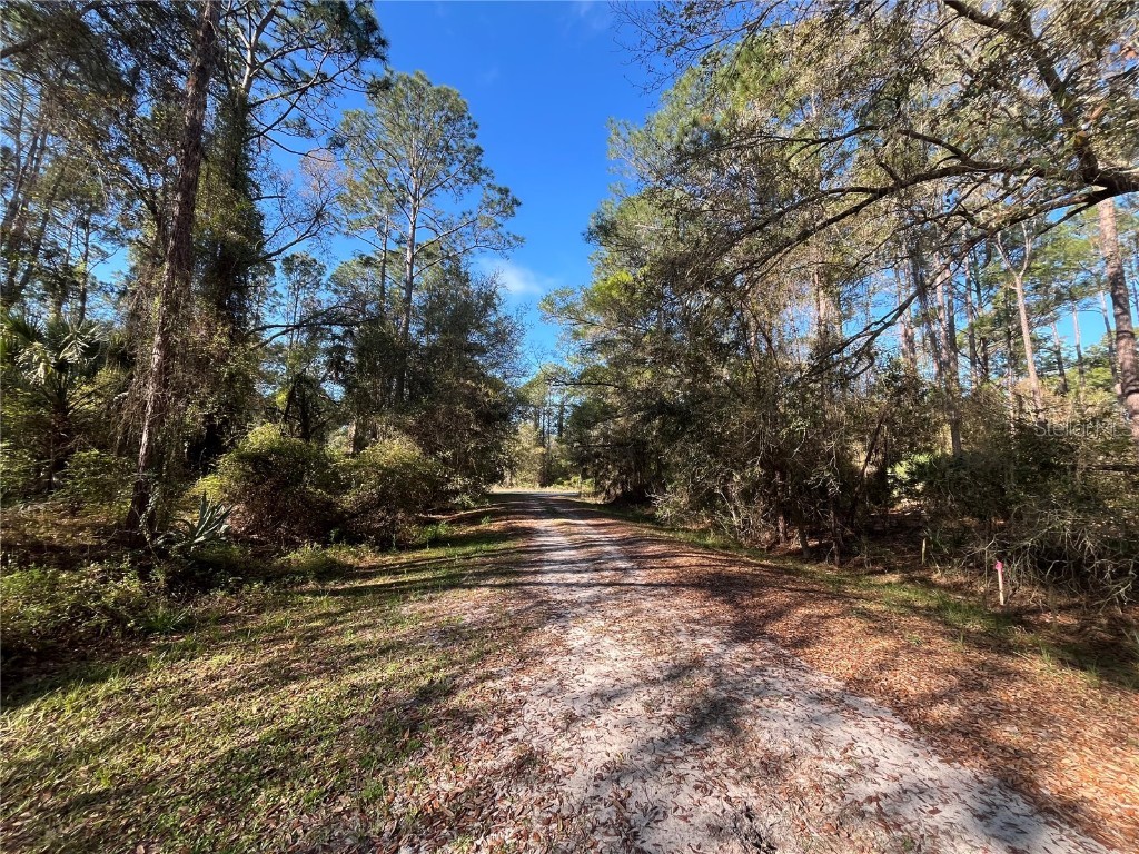 104 SE 5th Street Georgetown FL 32139 OK225299 image2