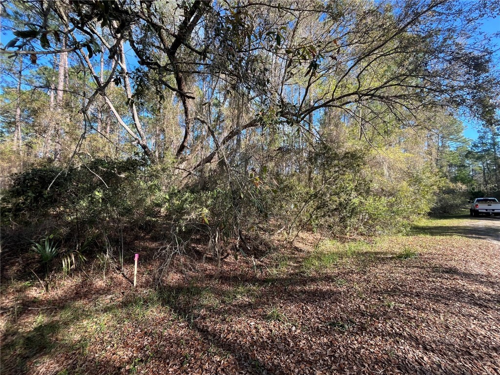 104 SE 5th Street Georgetown FL 32139 OK225299 image3