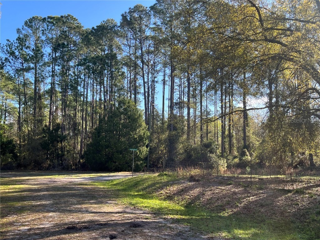 104 SE 5th Street Georgetown FL 32139 OK225299 image6