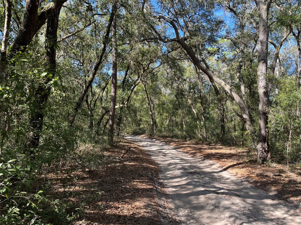 104 Sunset Lane Interlachen FL 32148 V4940604 image1