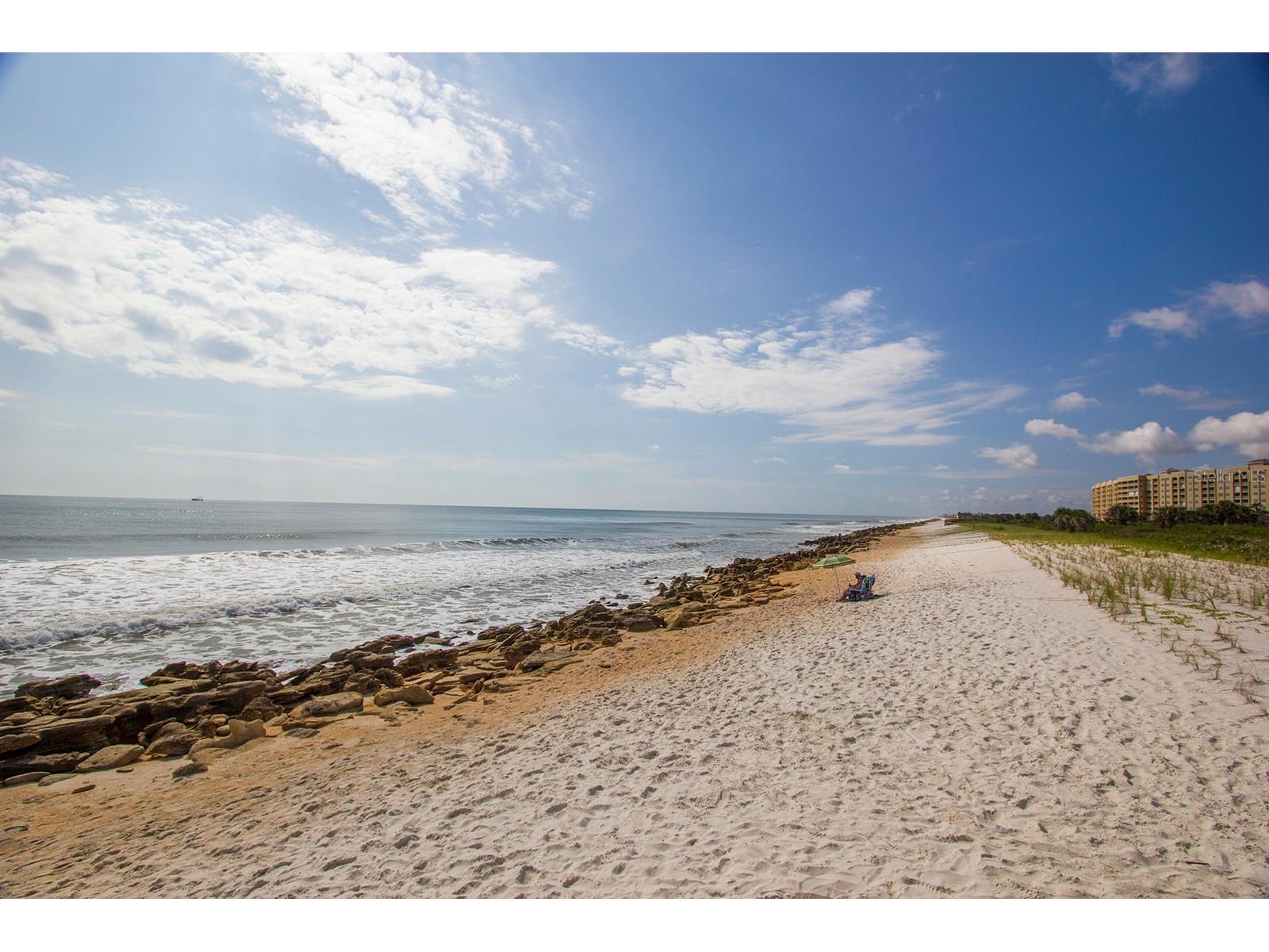 104 Surfview Drive #2204 Palm Coast FL 32137 - ATLANTIC OCEAN TB8475310 image52