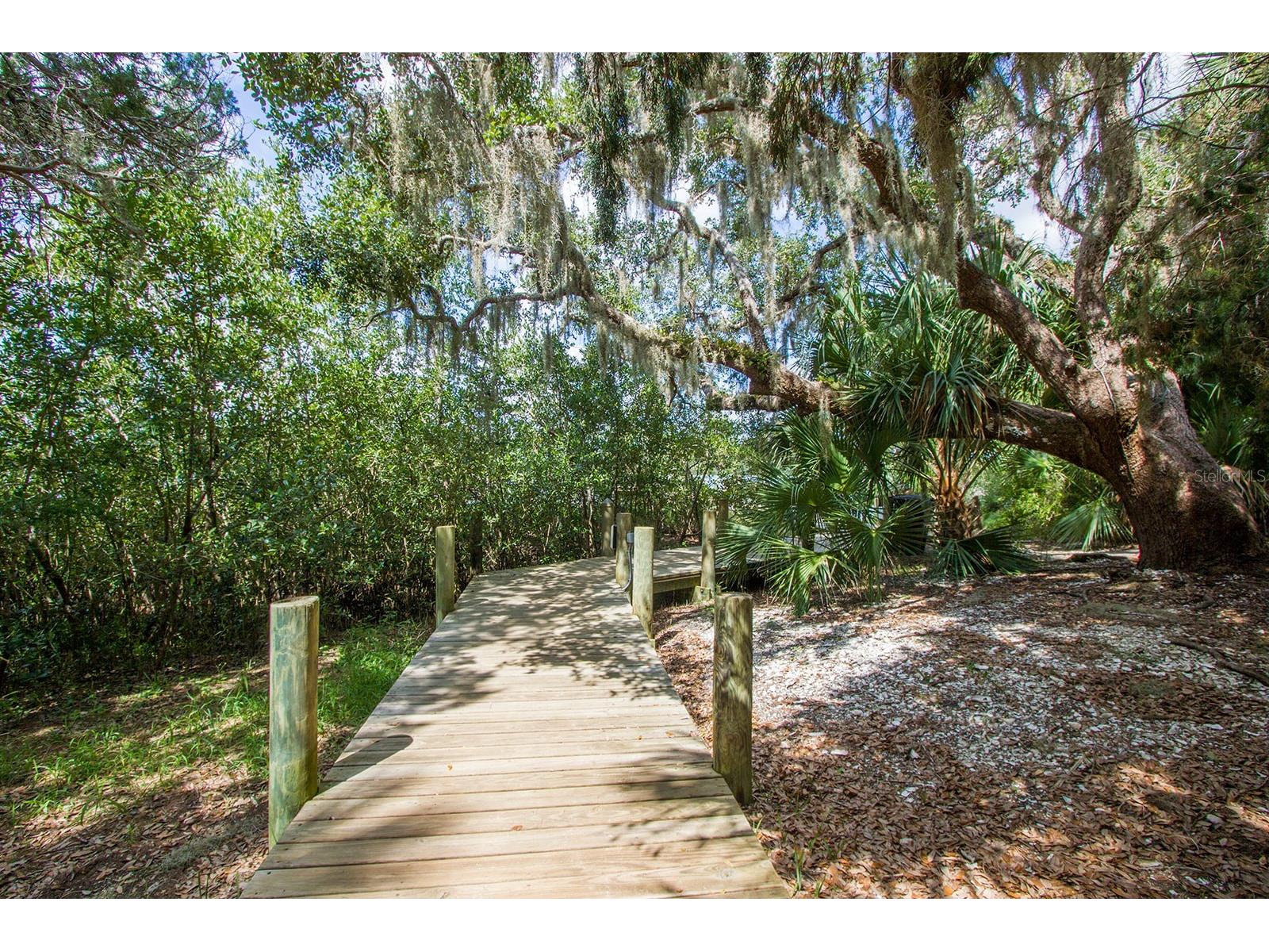104 Surfview Drive #2204 Palm Coast FL 32137 - ATLANTIC OCEAN TB8475310 image60