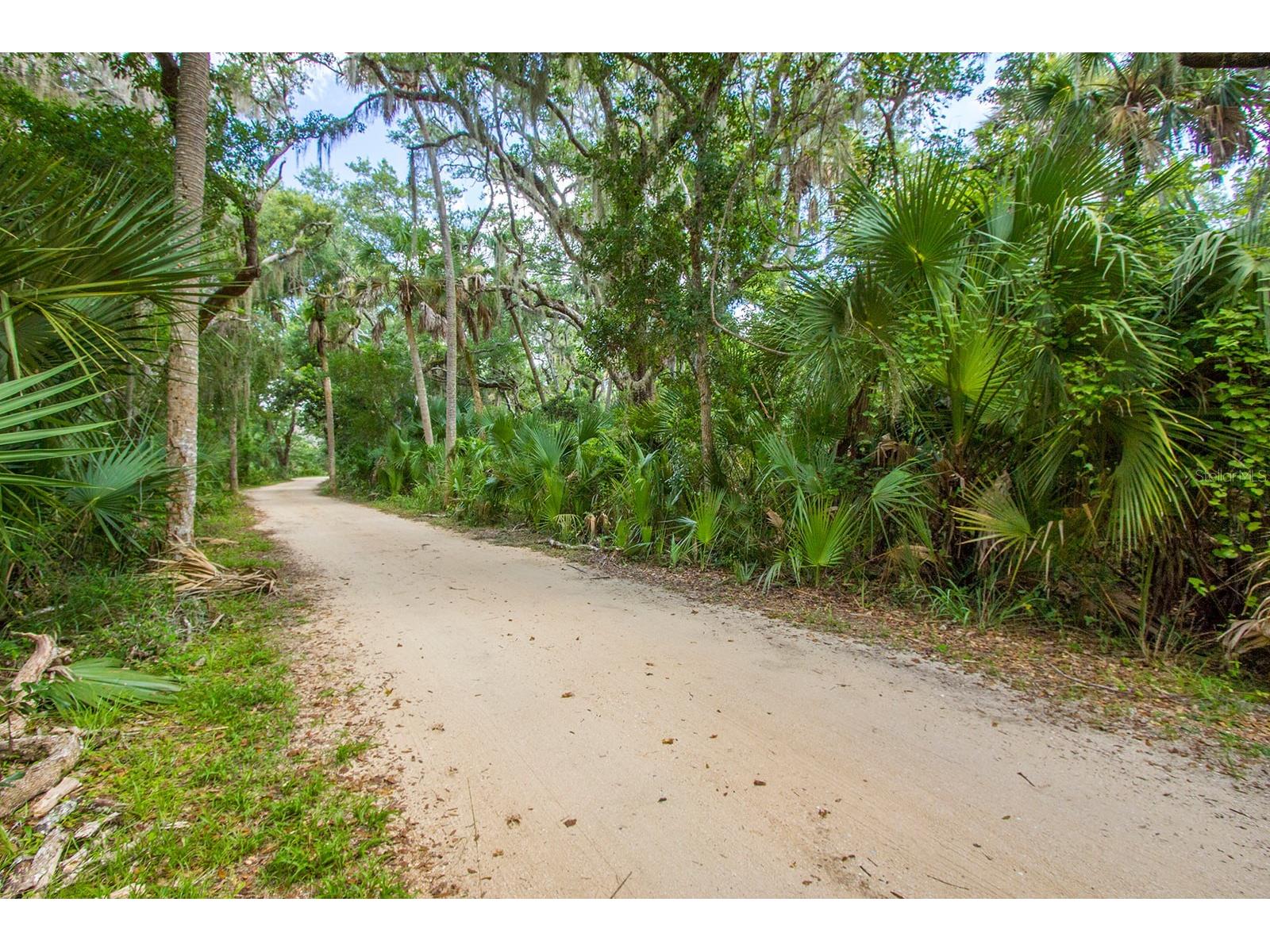 104 Surfview Drive #2204 Palm Coast FL 32137 - ATLANTIC OCEAN TB8475310 image62