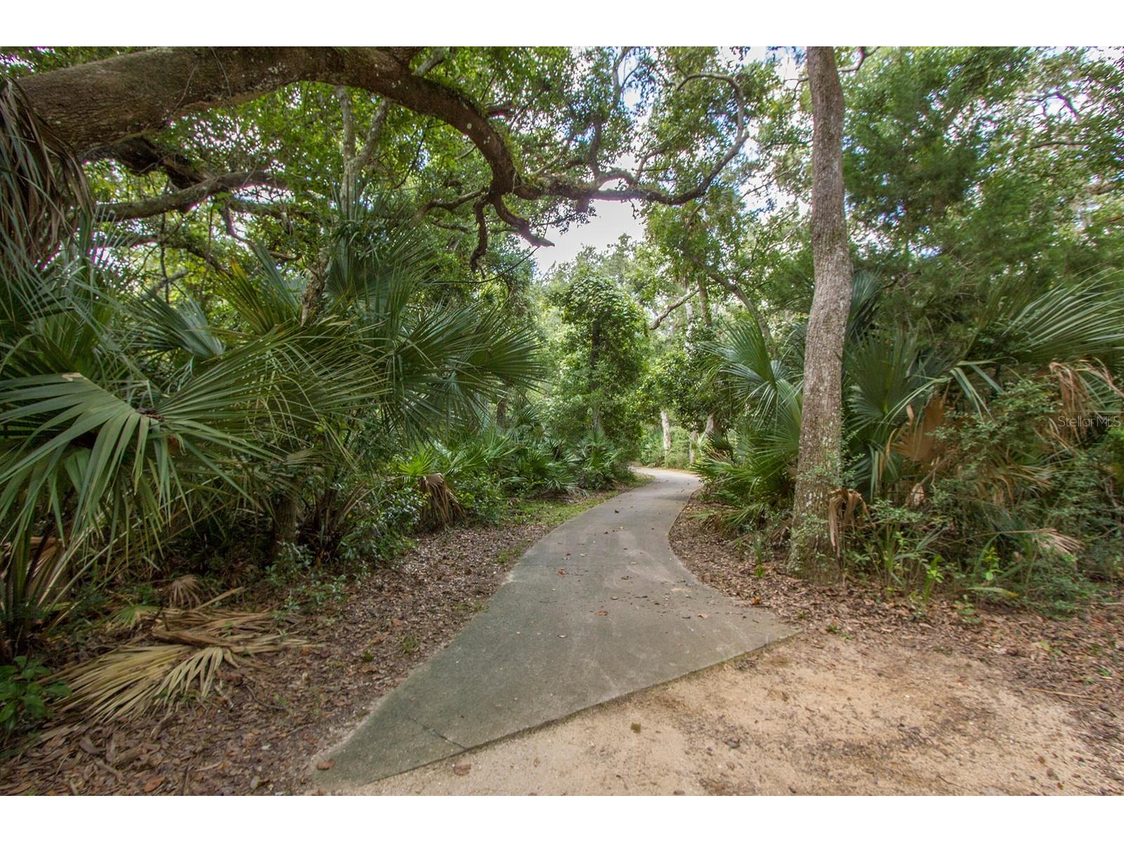 104 Surfview Drive #2204 Palm Coast FL 32137 - ATLANTIC OCEAN TB8475310 image63