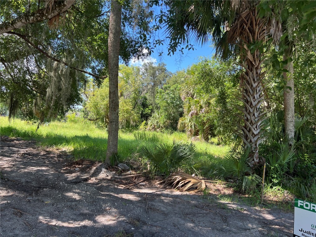 104 W Michael Gladden Boulevard Apopka FL 32703 O6327736 image1