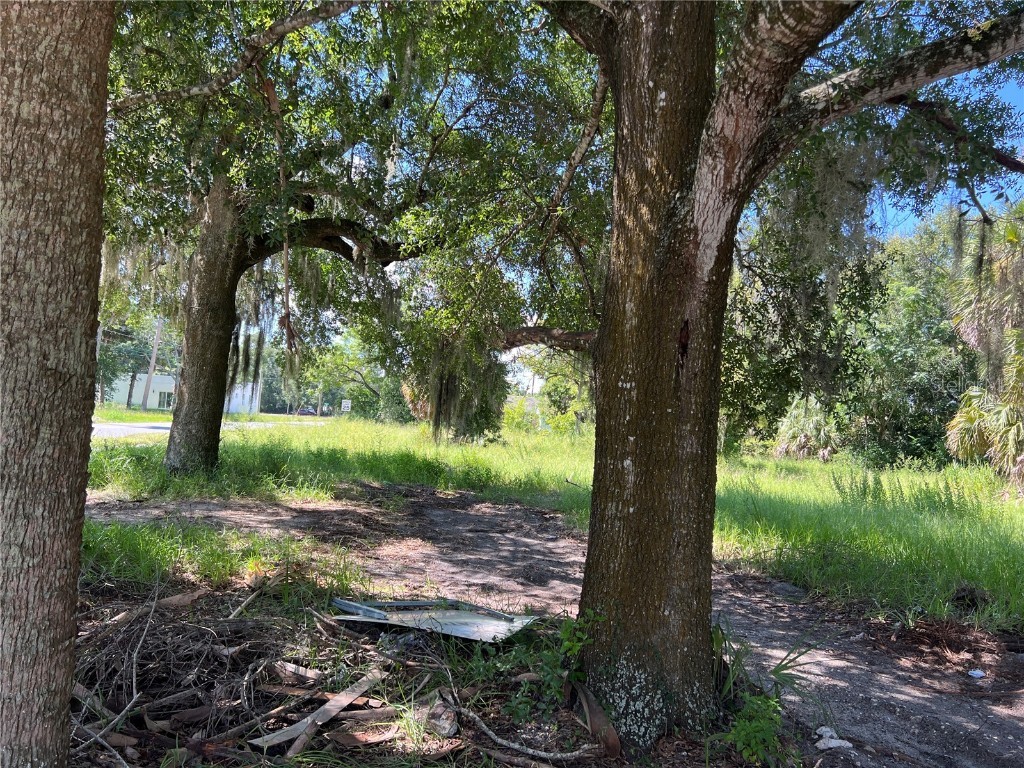 104 W Michael Gladden Boulevard Apopka FL 32703 O6327736 image2