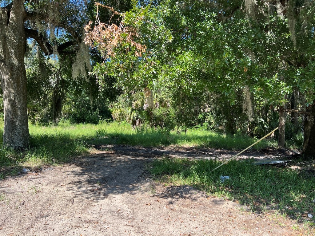 104 W Michael Gladden Boulevard Apopka FL 32703 O6327736 image3