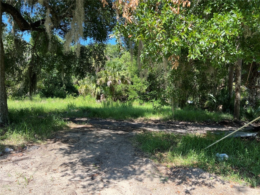 104 W Michael Gladden Boulevard Apopka FL 32703 O6327736 image4