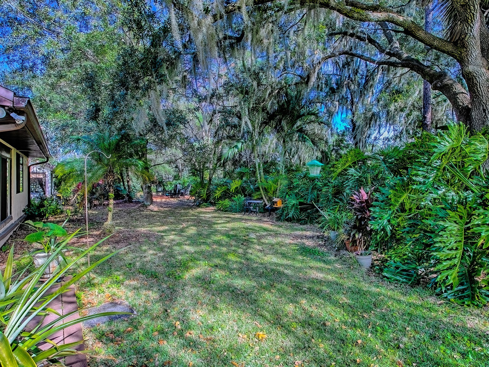 104 Waterwood Drive Yalaha FL 34797 - LAKE HARRIS G5107033 image36