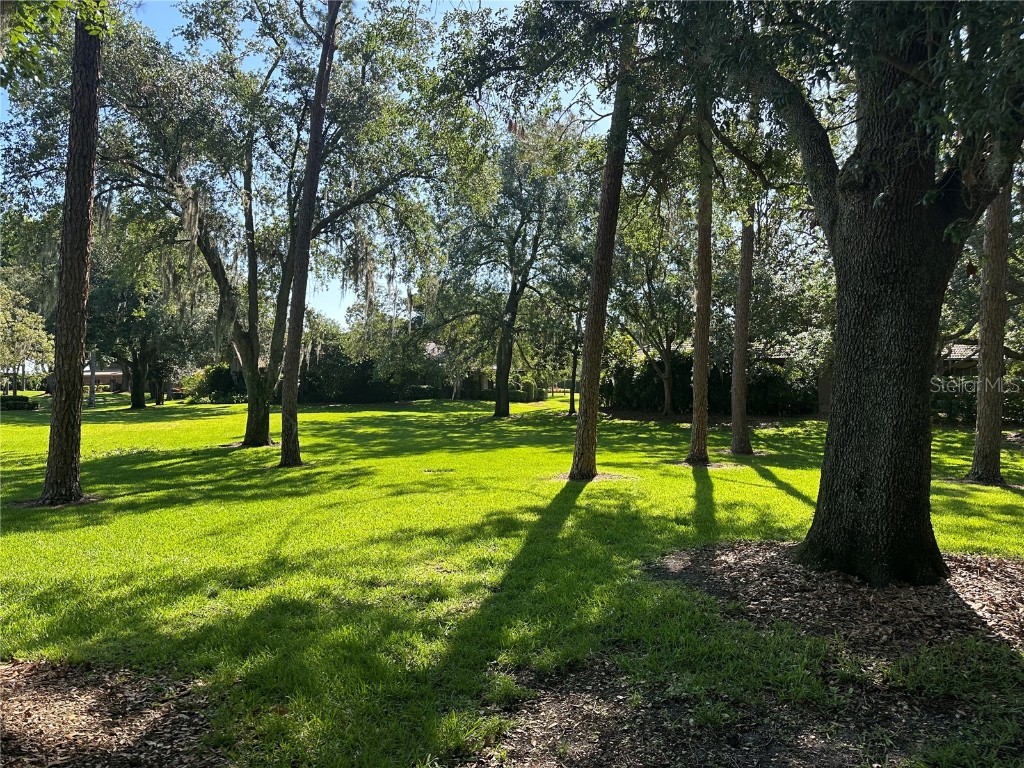 104 Woden Way Winter Haven FL 33884 - LAKE ELOISE P4934554 image33