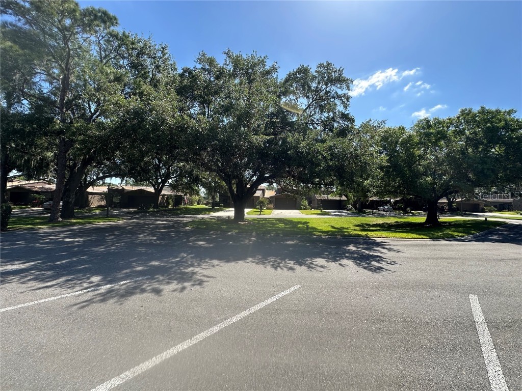 104 Woden Way Winter Haven FL 33884 - LAKE ELOISE P4934554 image37