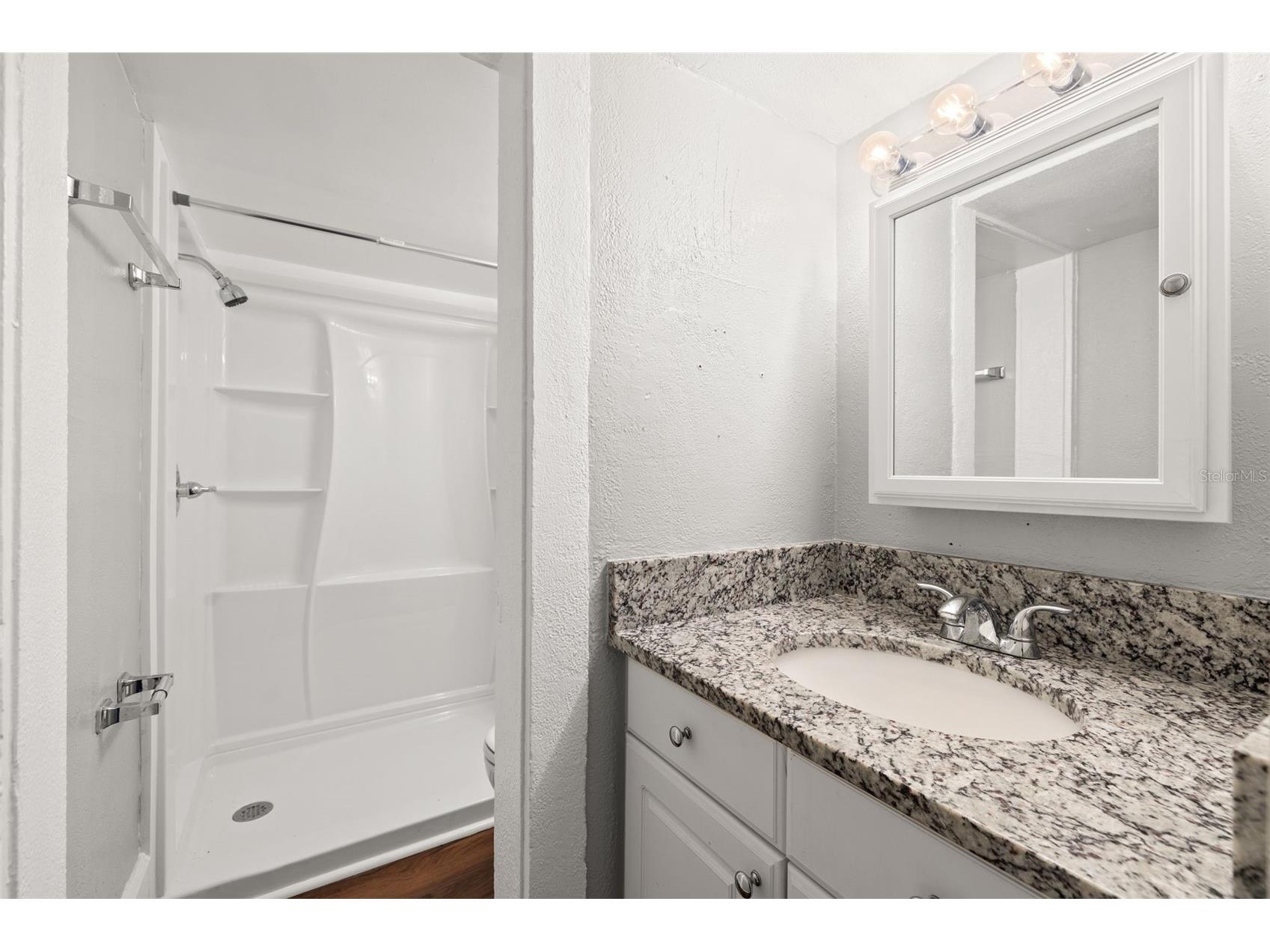 1040 19th Avenue N Saint Petersburg FL 33704 A4662987 image18