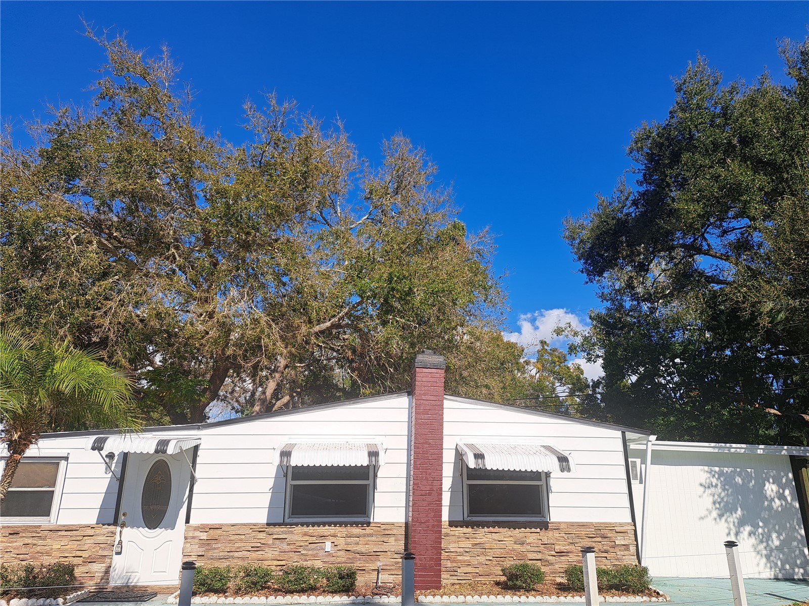 1040 65th Street S South Pasadena FL 33707 TB8422462 image46