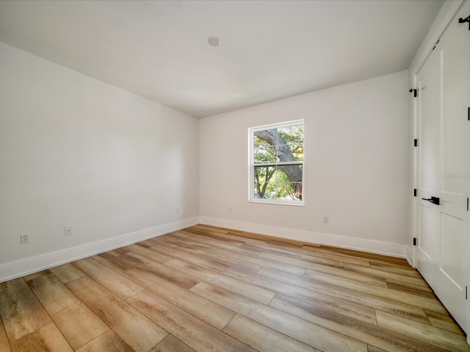 1040 Bass Boulevard Dunedin FL 34698 TB8479903 image23