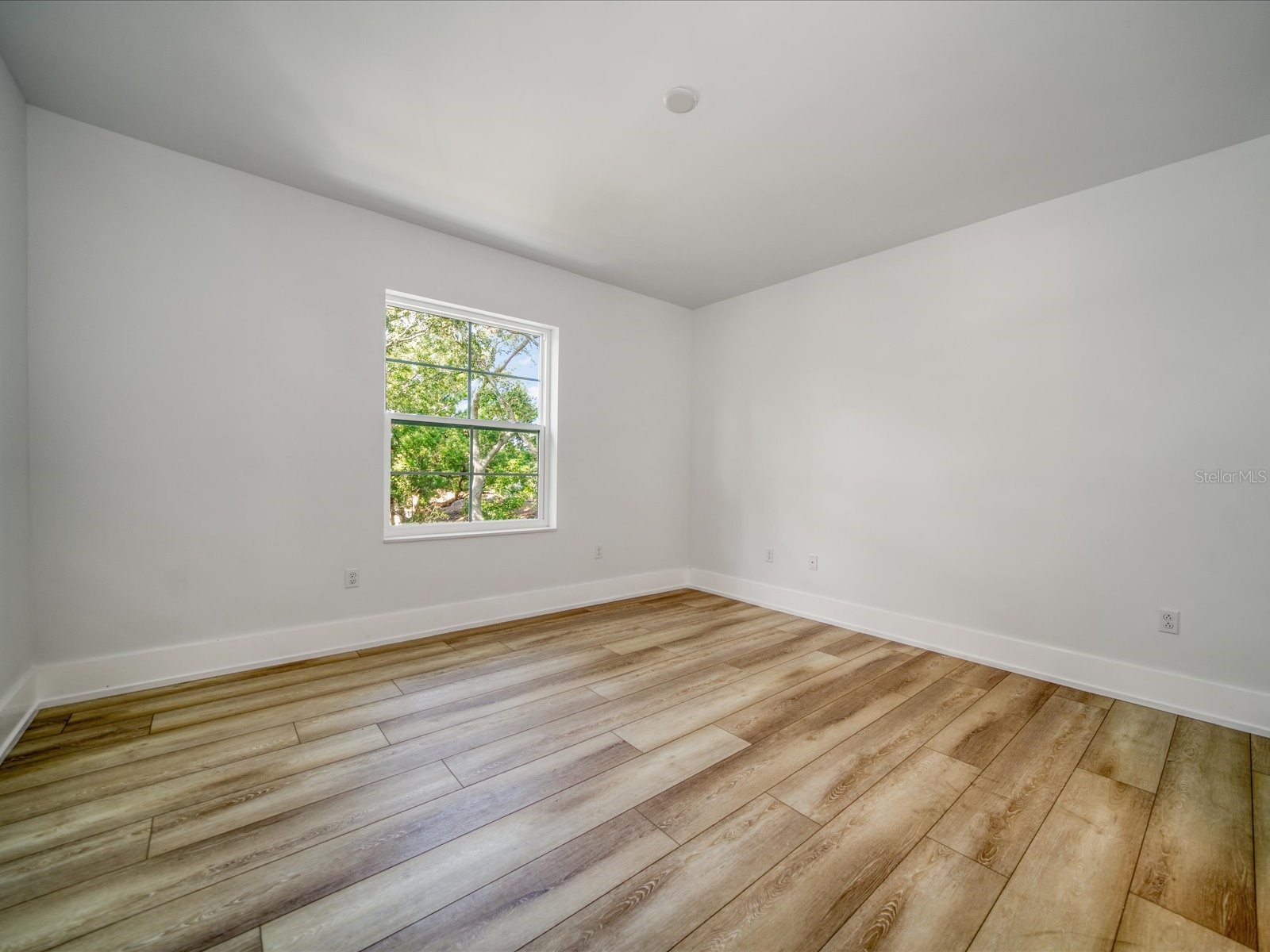 1040 Bass Boulevard Dunedin FL 34698 TB8479903 image25