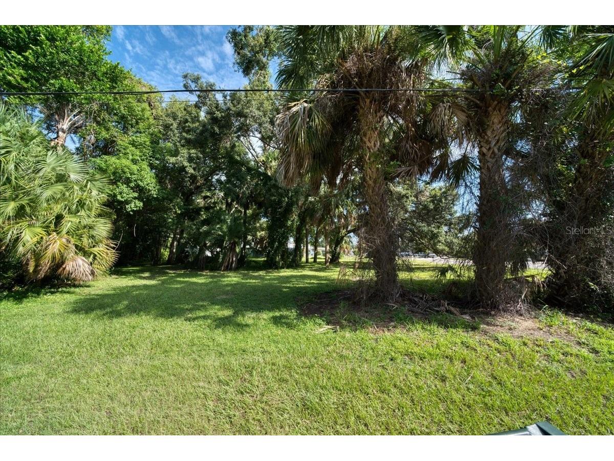 1040 Broadway Dunedin FL 34698 TB8475037 image13