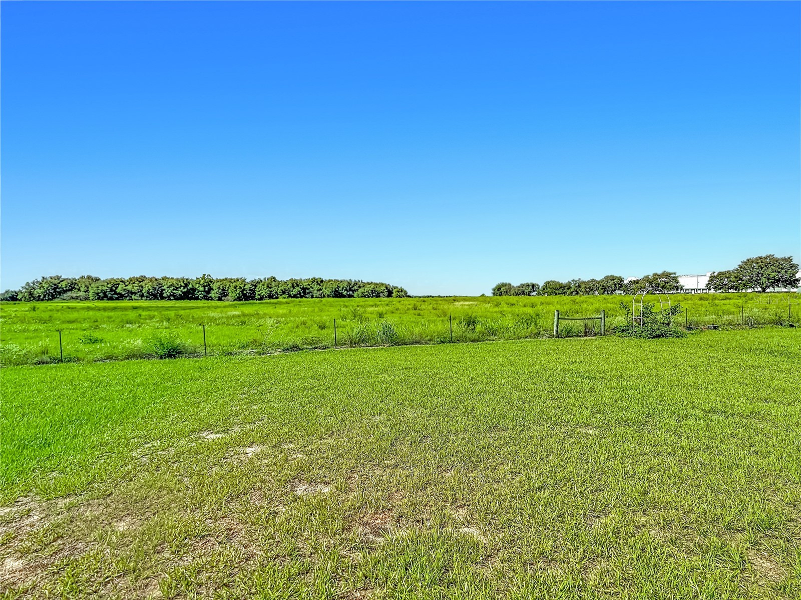 1040 Cambridge Drive Winter Haven FL 33881 OM727915 image34