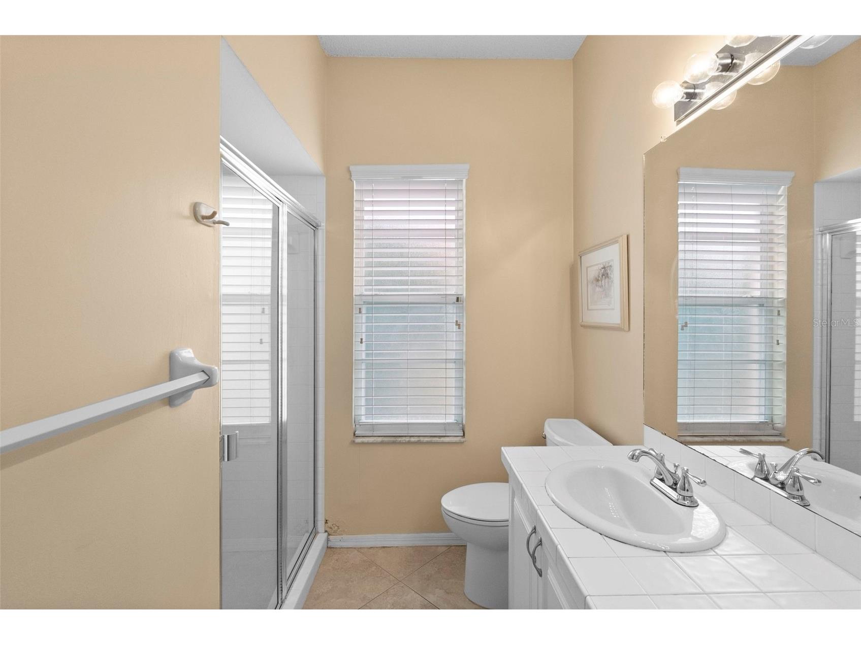 1040 Dartford Drive Tarpon Springs FL 34688 TB8475724 image25