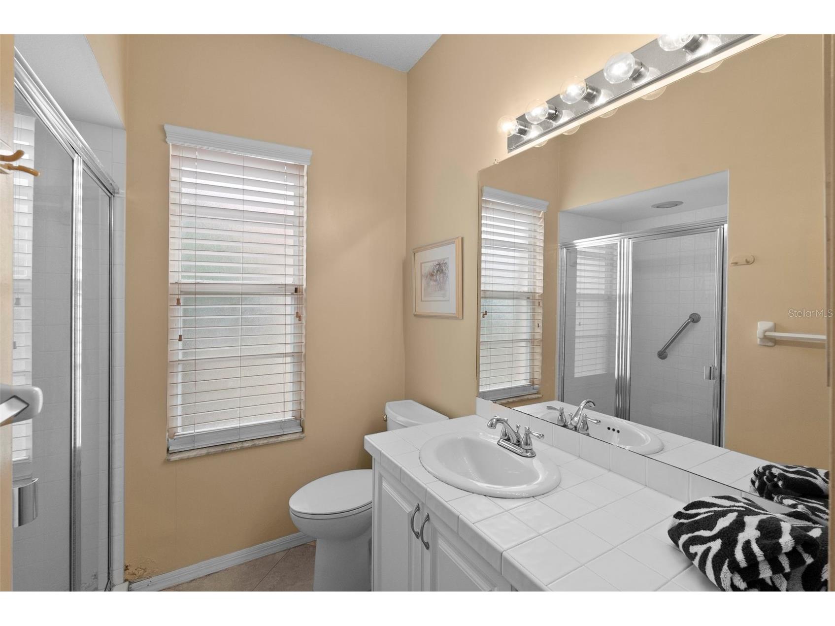 1040 Dartford Drive Tarpon Springs FL 34688 TB8475724 image26