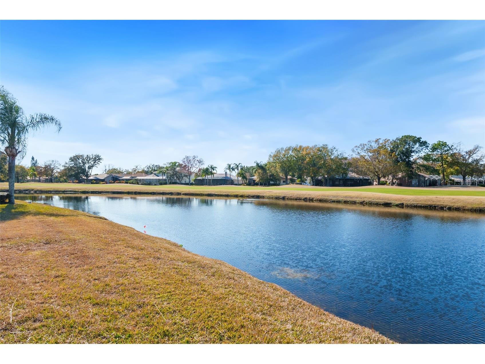 1040 Dartford Drive Tarpon Springs FL 34688 TB8475724 image37