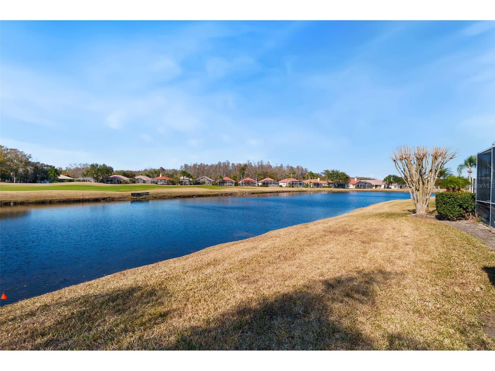 1040 Dartford Drive Tarpon Springs FL 34688 TB8475724 image38