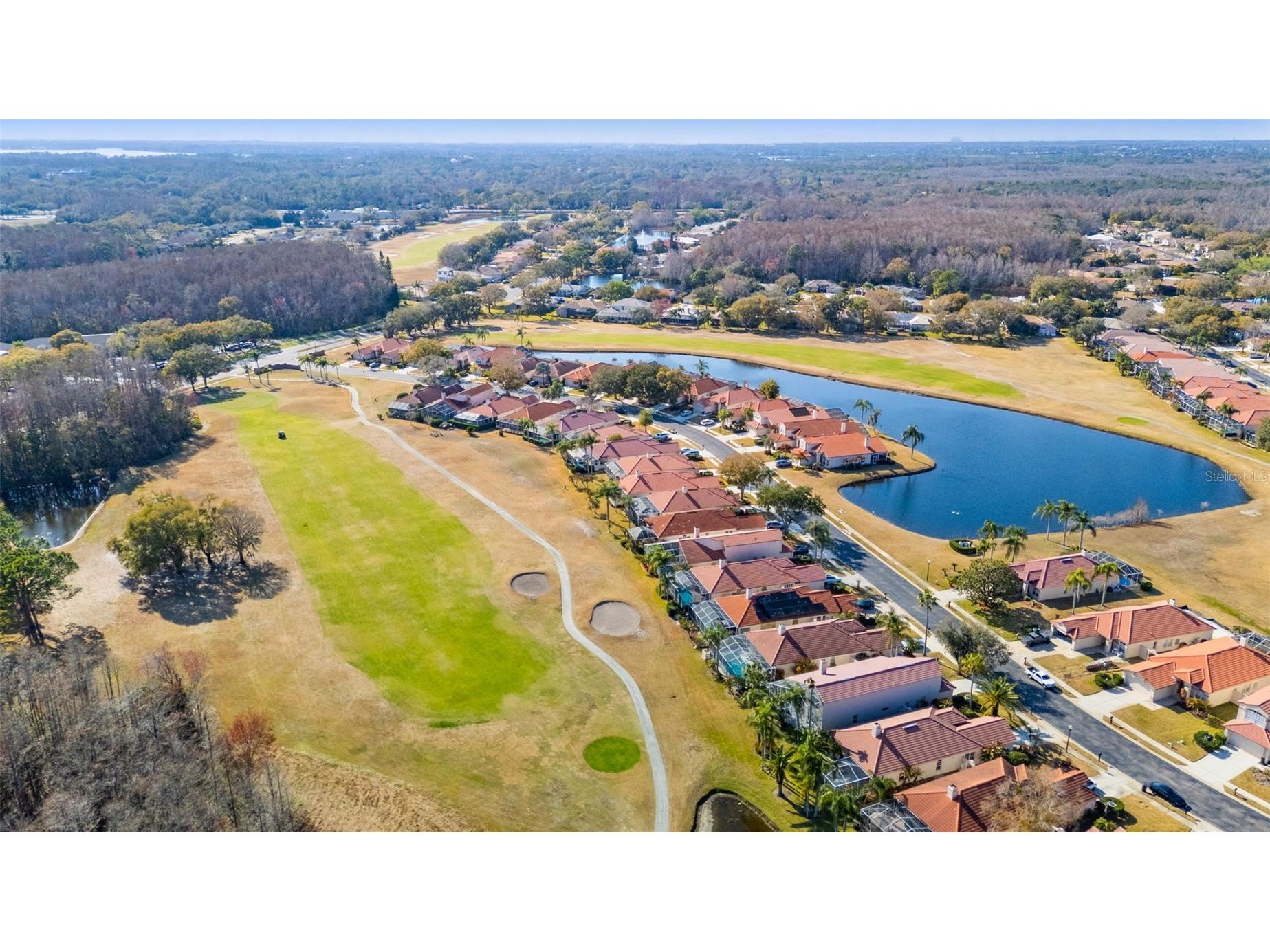 1040 Dartford Drive Tarpon Springs FL 34688 TB8475724 image39