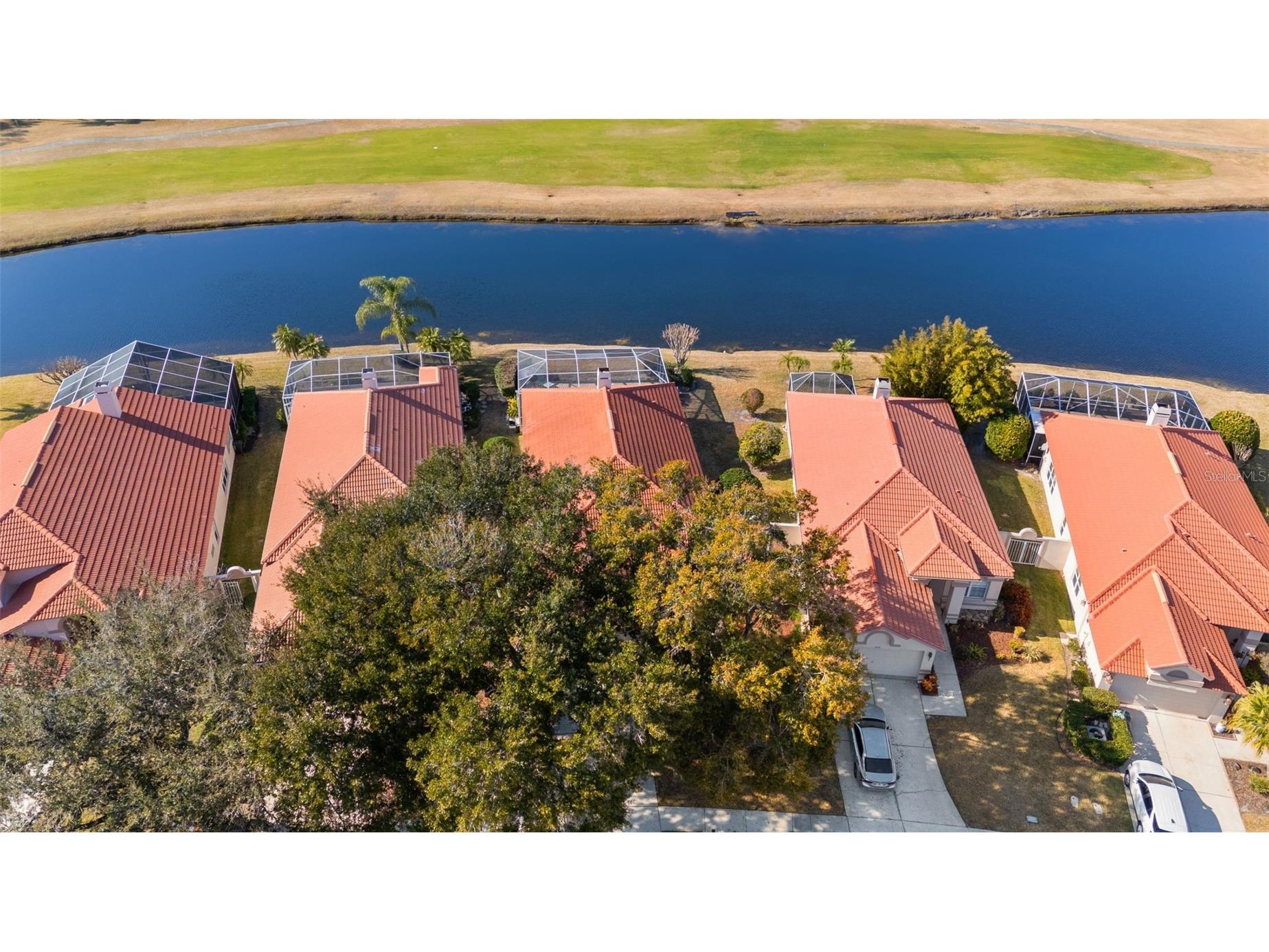 1040 Dartford Drive Tarpon Springs FL 34688 TB8475724 image40