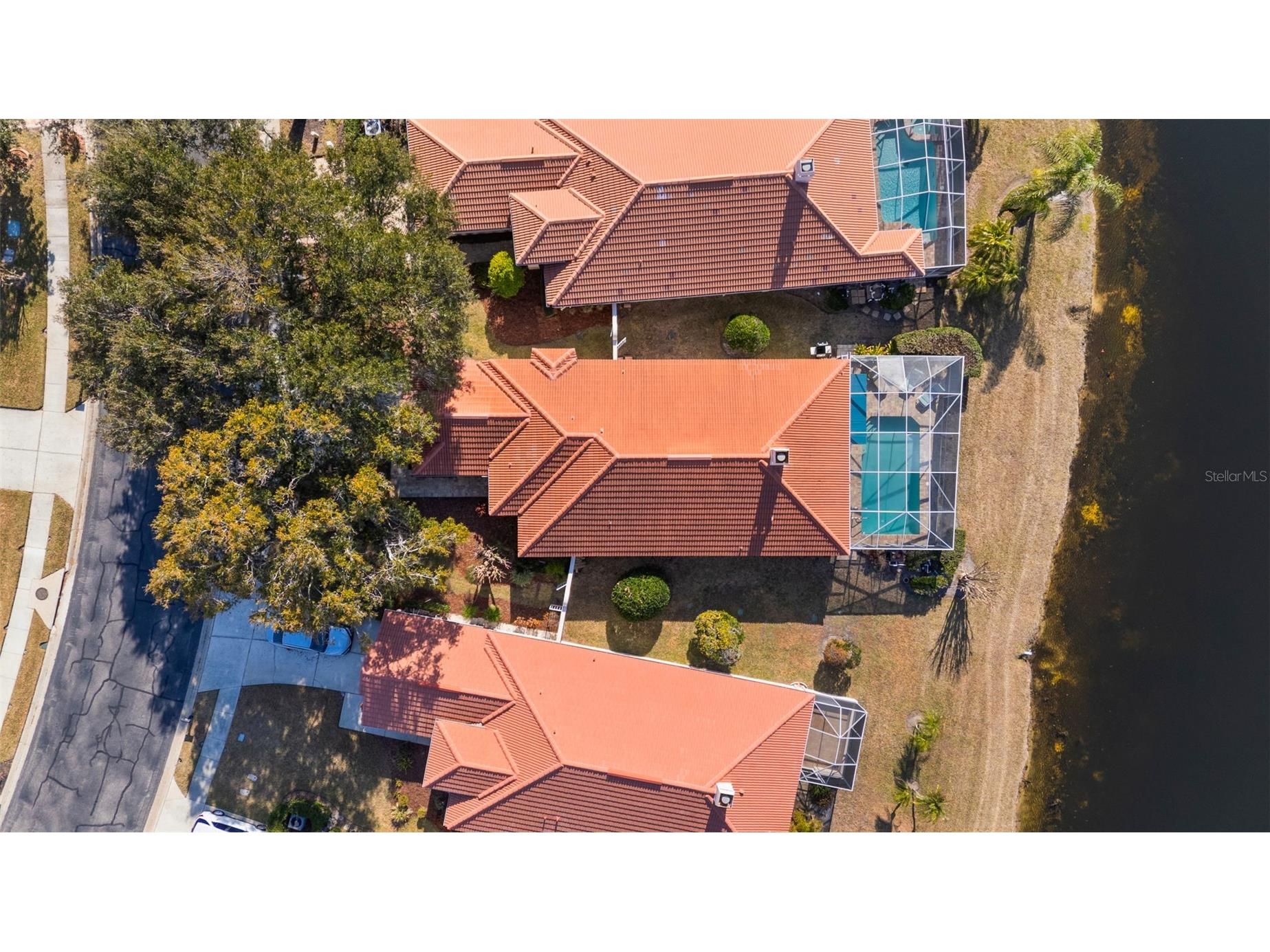 1040 Dartford Drive Tarpon Springs FL 34688 TB8475724 image41