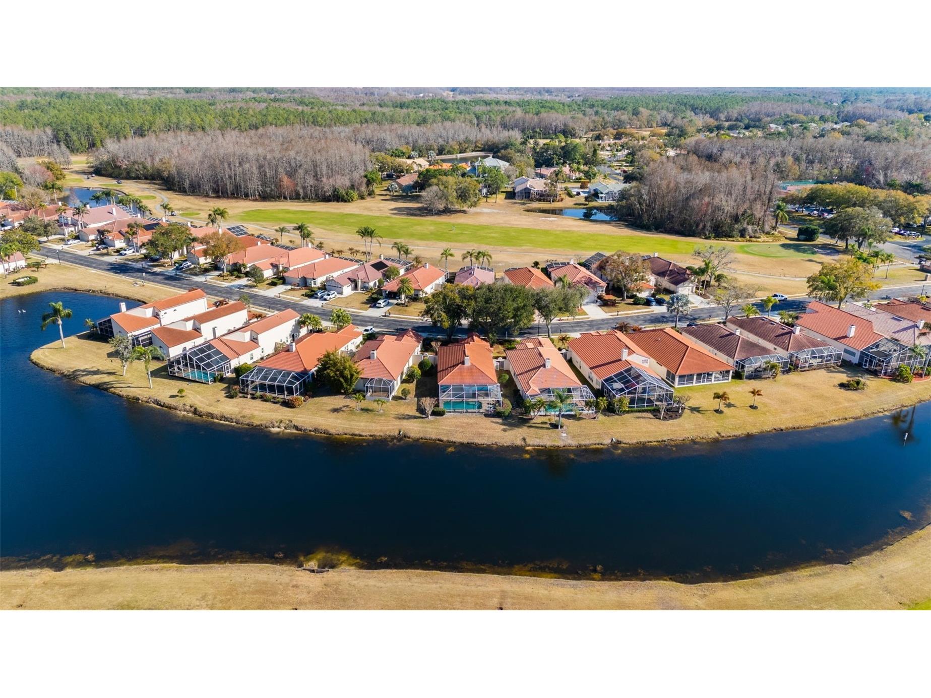 1040 Dartford Drive Tarpon Springs FL 34688 TB8475724 image42