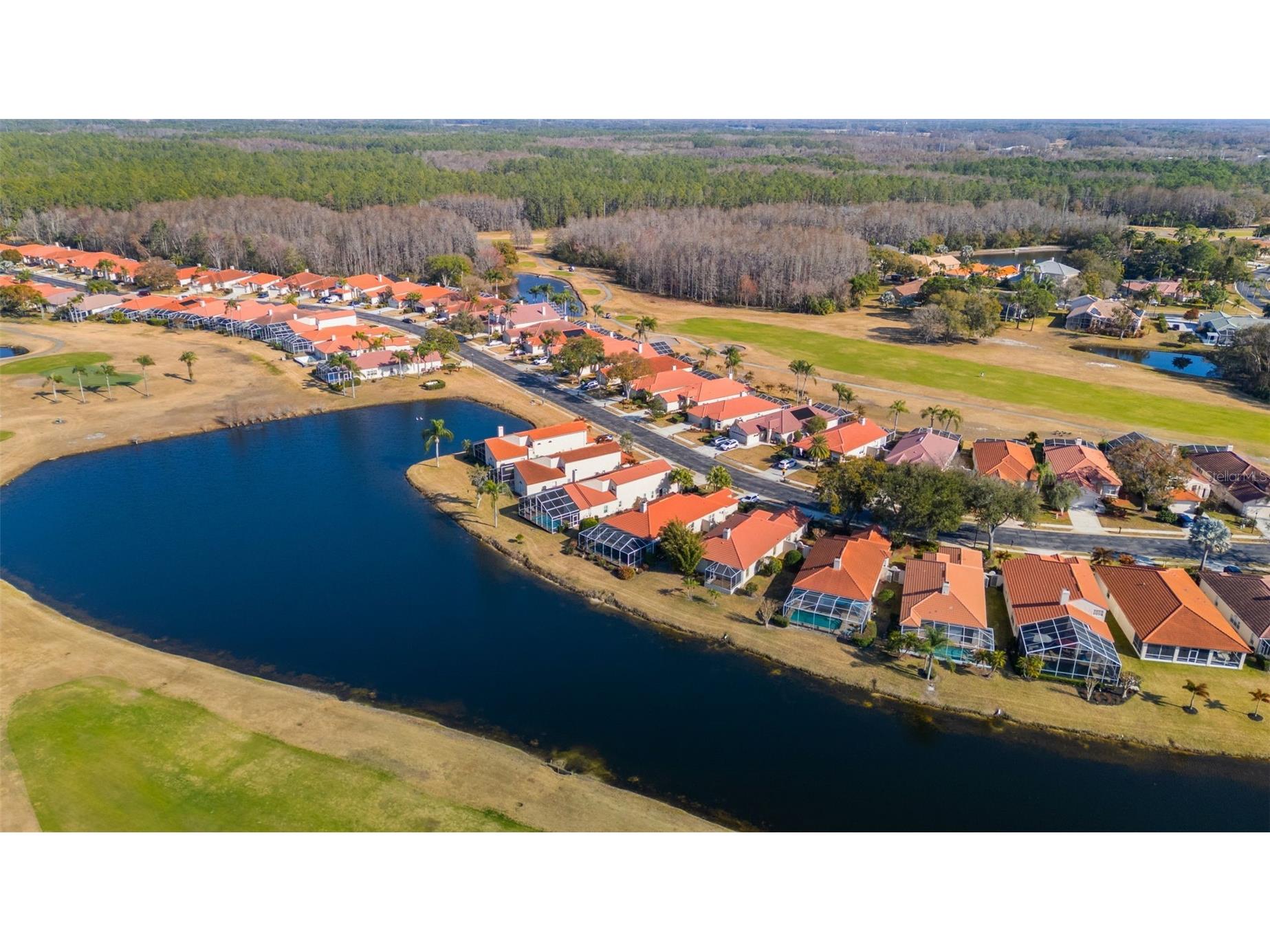 1040 Dartford Drive Tarpon Springs FL 34688 TB8475724 image43