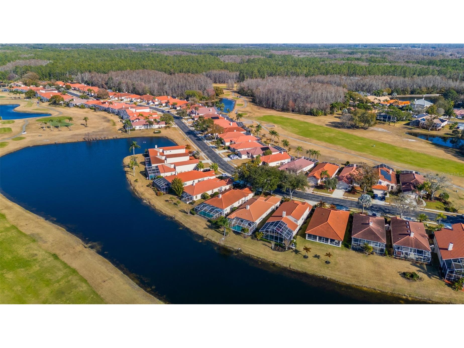 1040 Dartford Drive Tarpon Springs FL 34688 TB8475724 image44
