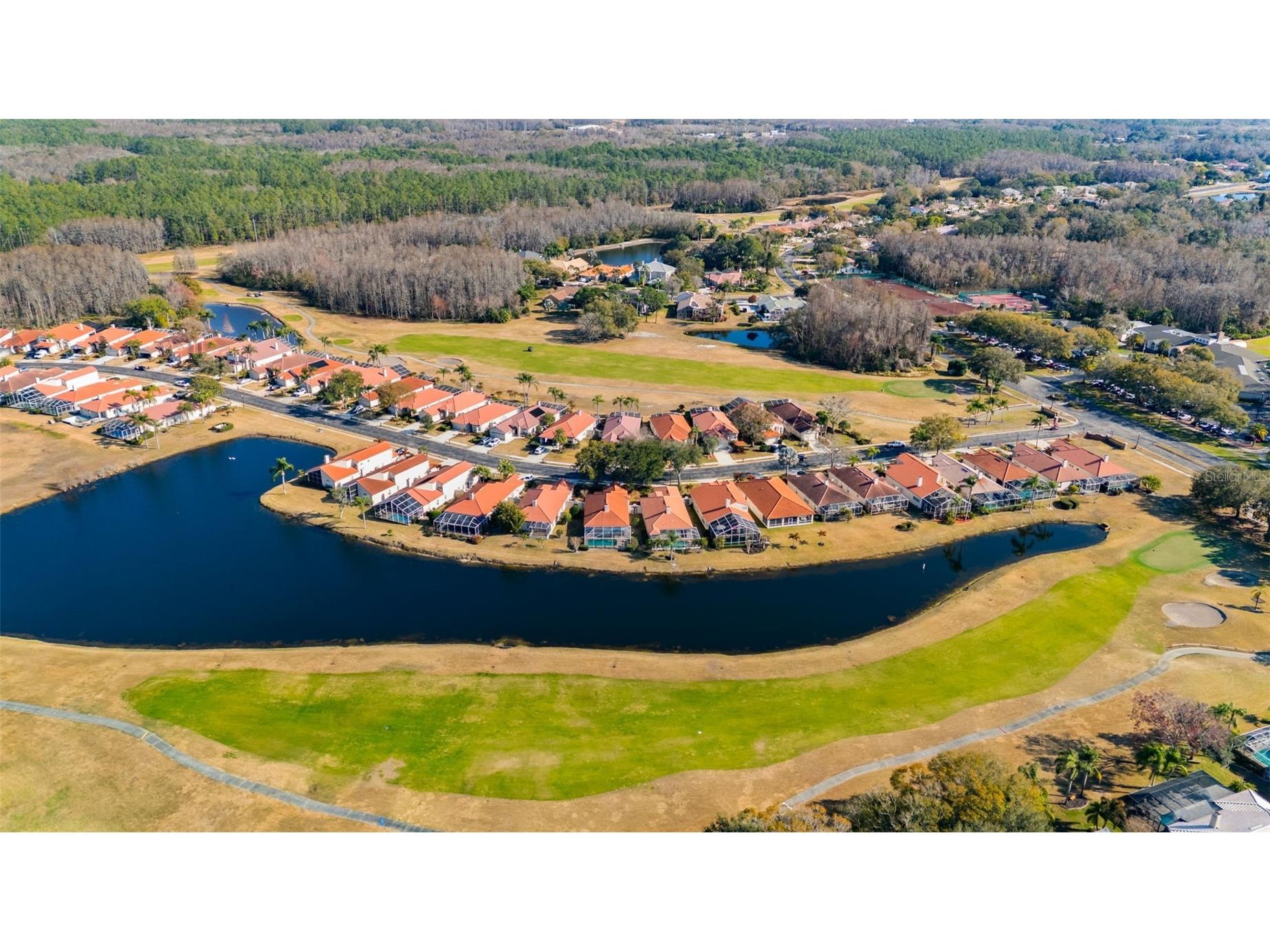 1040 Dartford Drive Tarpon Springs FL 34688 TB8475724 image46