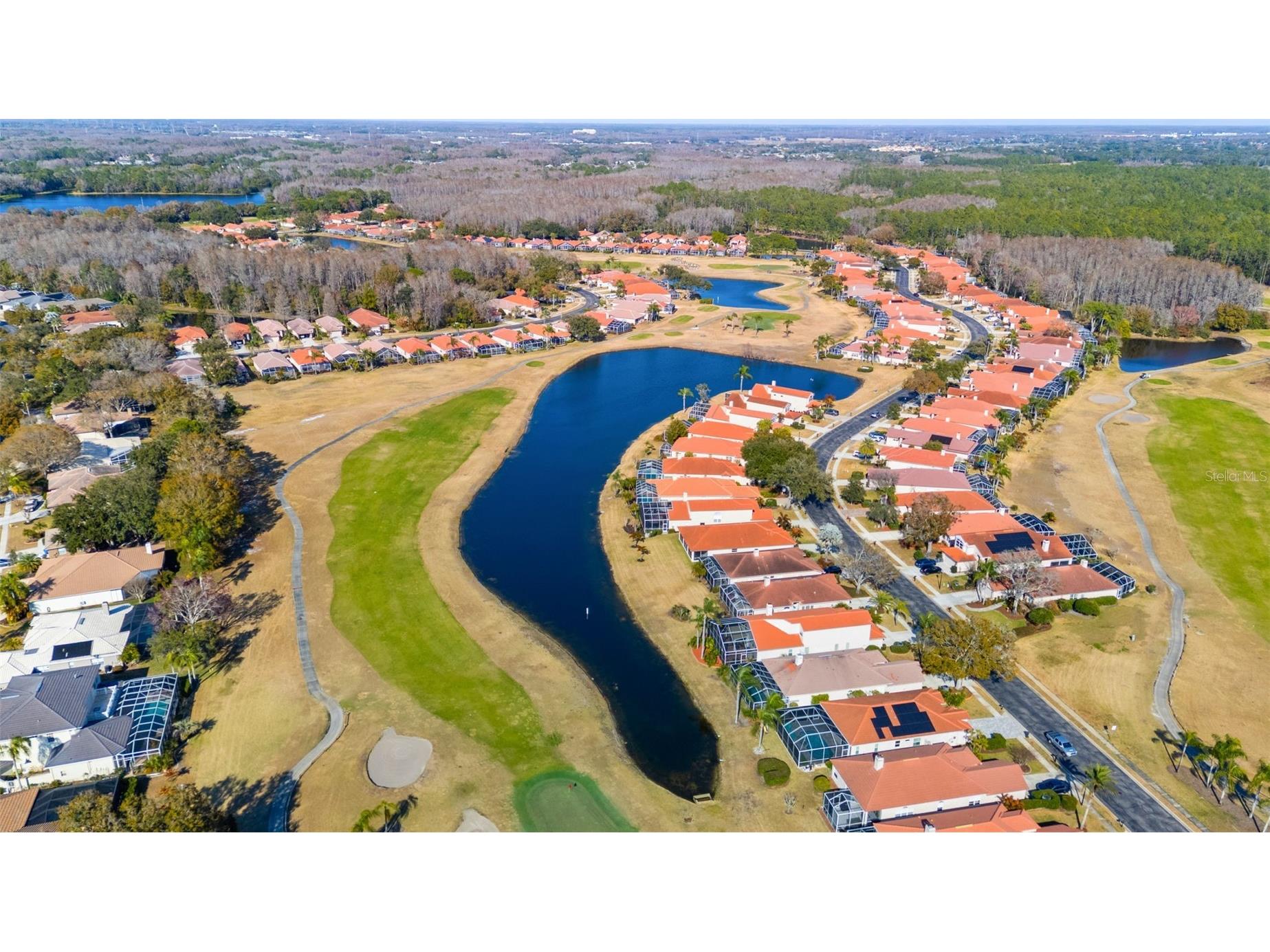 1040 Dartford Drive Tarpon Springs FL 34688 TB8475724 image53