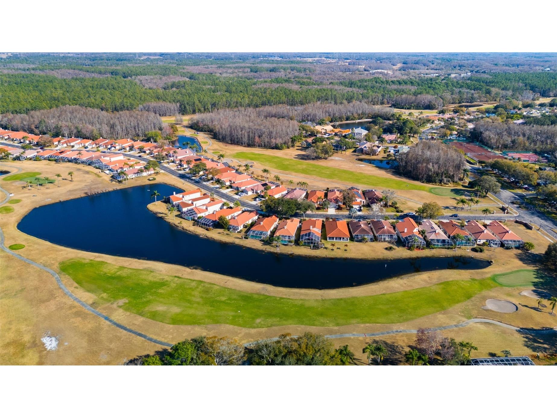 1040 Dartford Drive Tarpon Springs FL 34688 TB8475724 image54