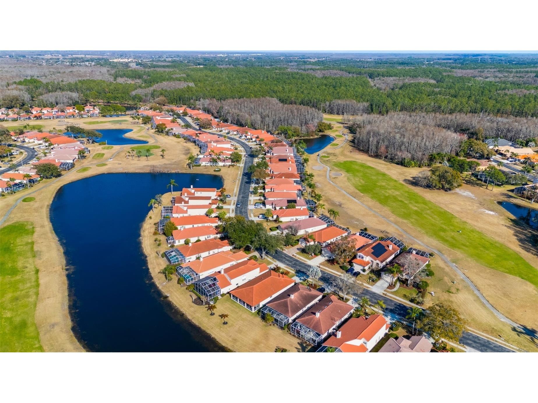 1040 Dartford Drive Tarpon Springs FL 34688 TB8475724 image56