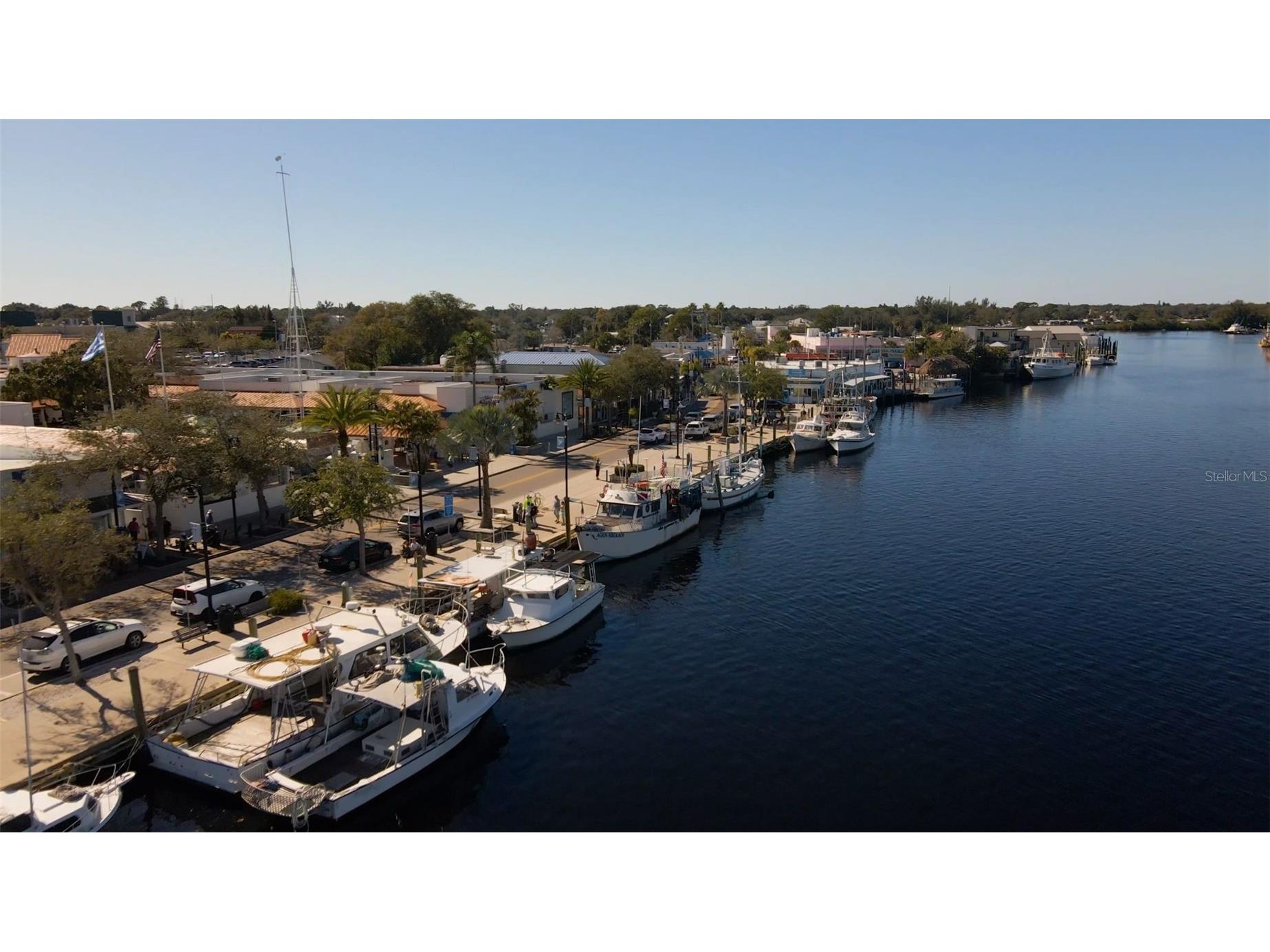 1040 Dartford Drive Tarpon Springs FL 34688 TB8475724 image65