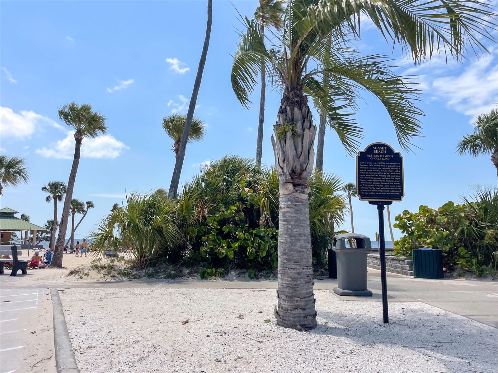 1040 Dartford Drive Tarpon Springs FL 34688 TB8475724 image74