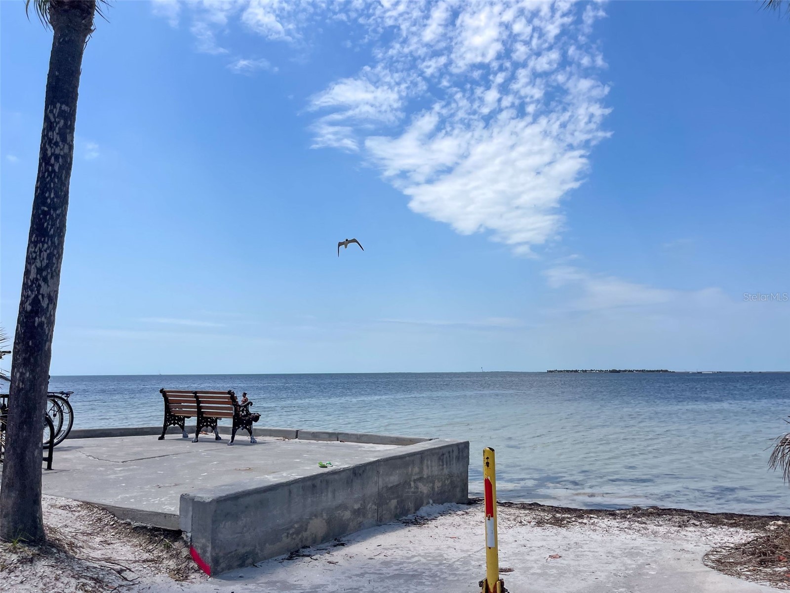 1040 Dartford Drive Tarpon Springs FL 34688 TB8475724 image77