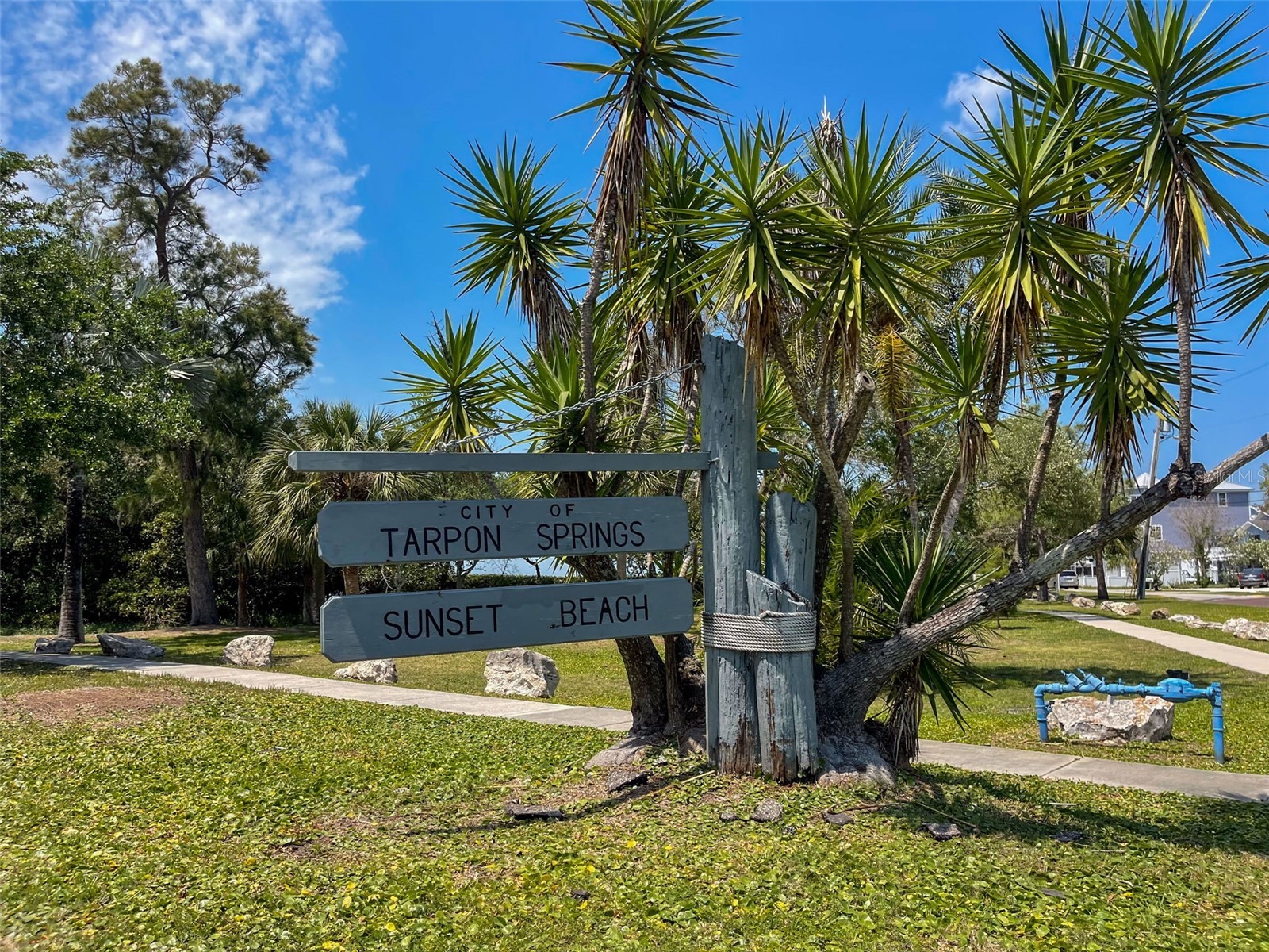 1040 Dartford Drive Tarpon Springs FL 34688 TB8475724 image78