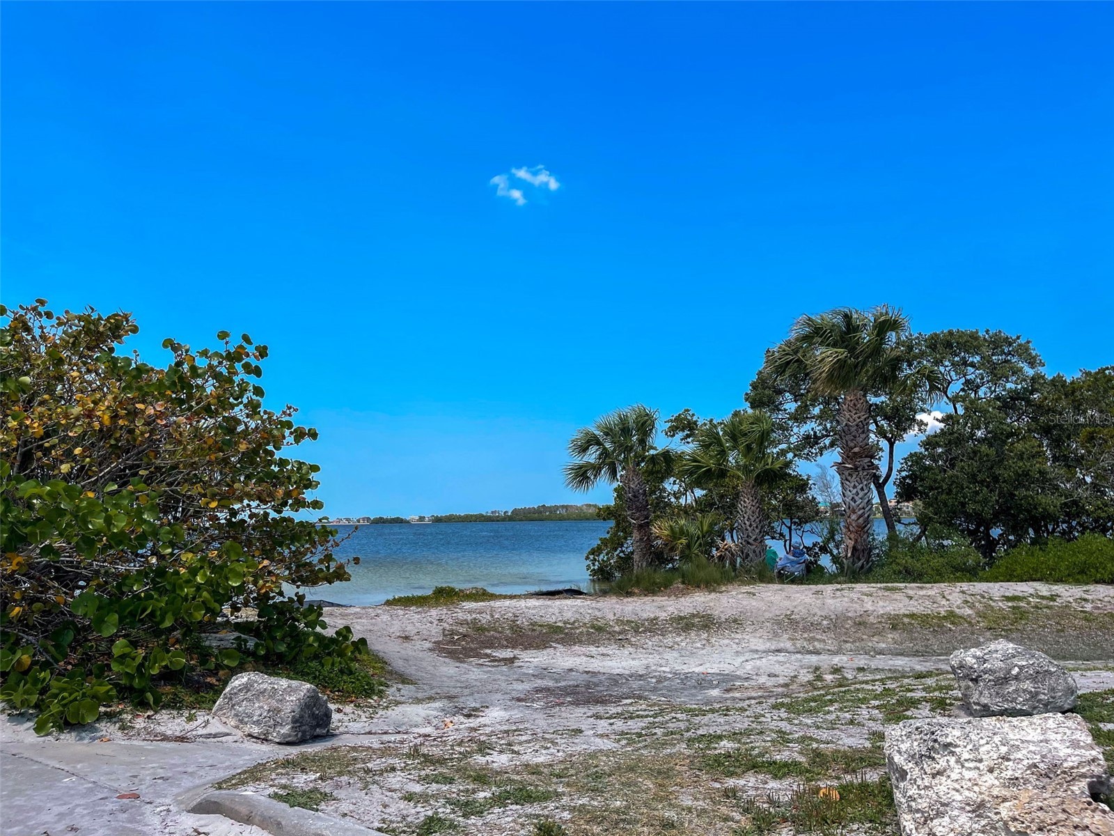 1040 Dartford Drive Tarpon Springs FL 34688 TB8475724 image79