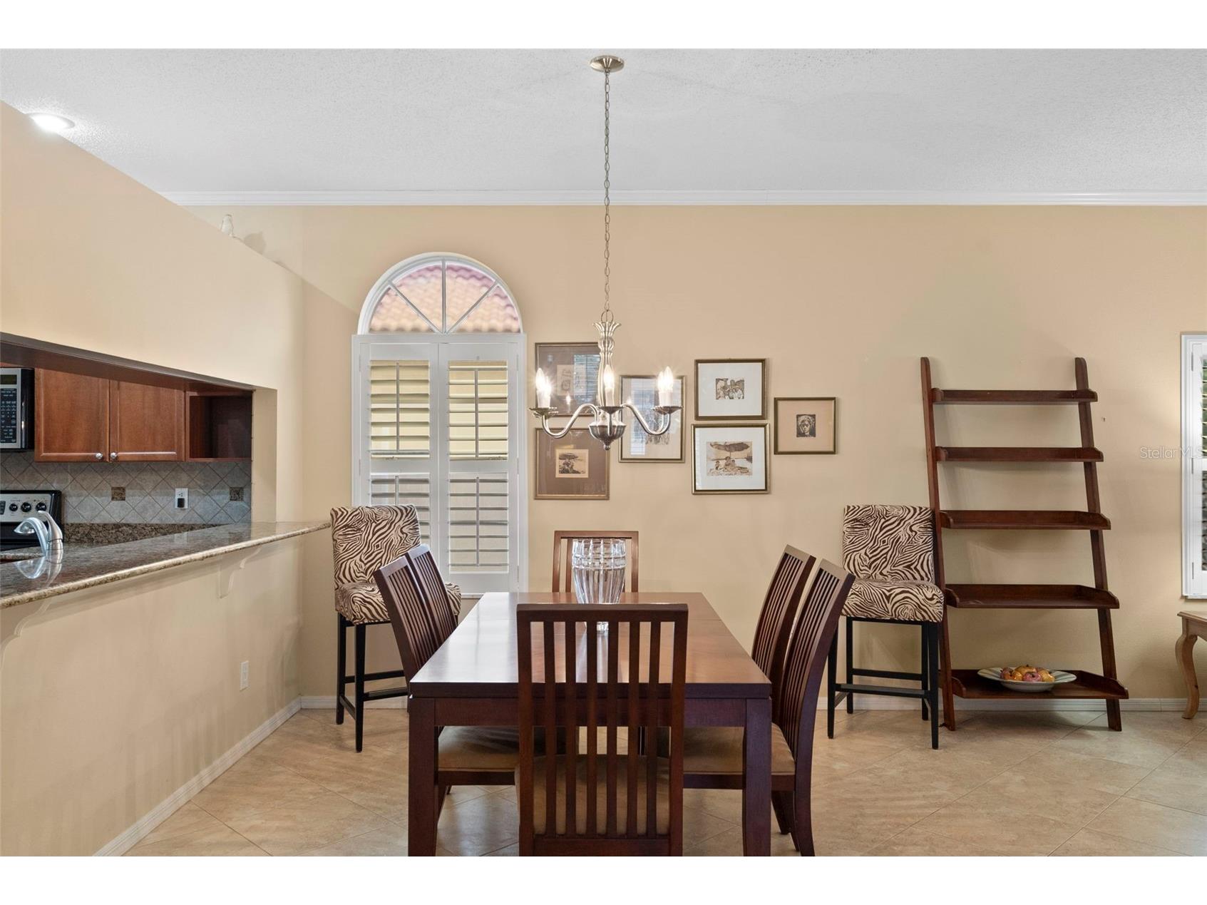 1040 Dartford Drive Tarpon Springs FL 34688 TB8475724 image9