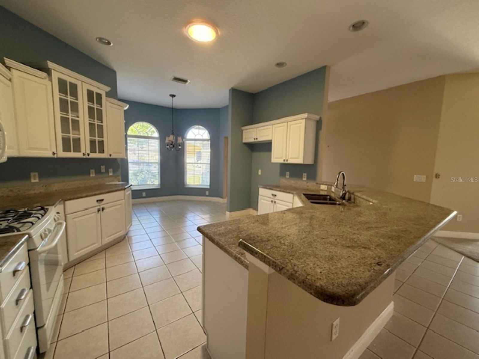 1040 Dentsville Lane The Villages FL 32162 OM721043 image5