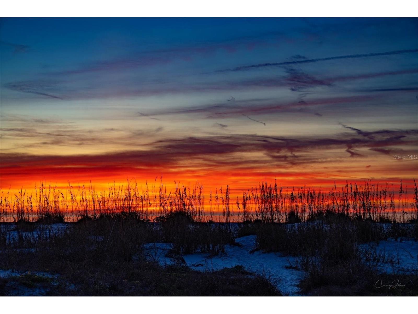 1040 Eldorado Avenue Clearwater Beach FL 33767 TB8470921 image79