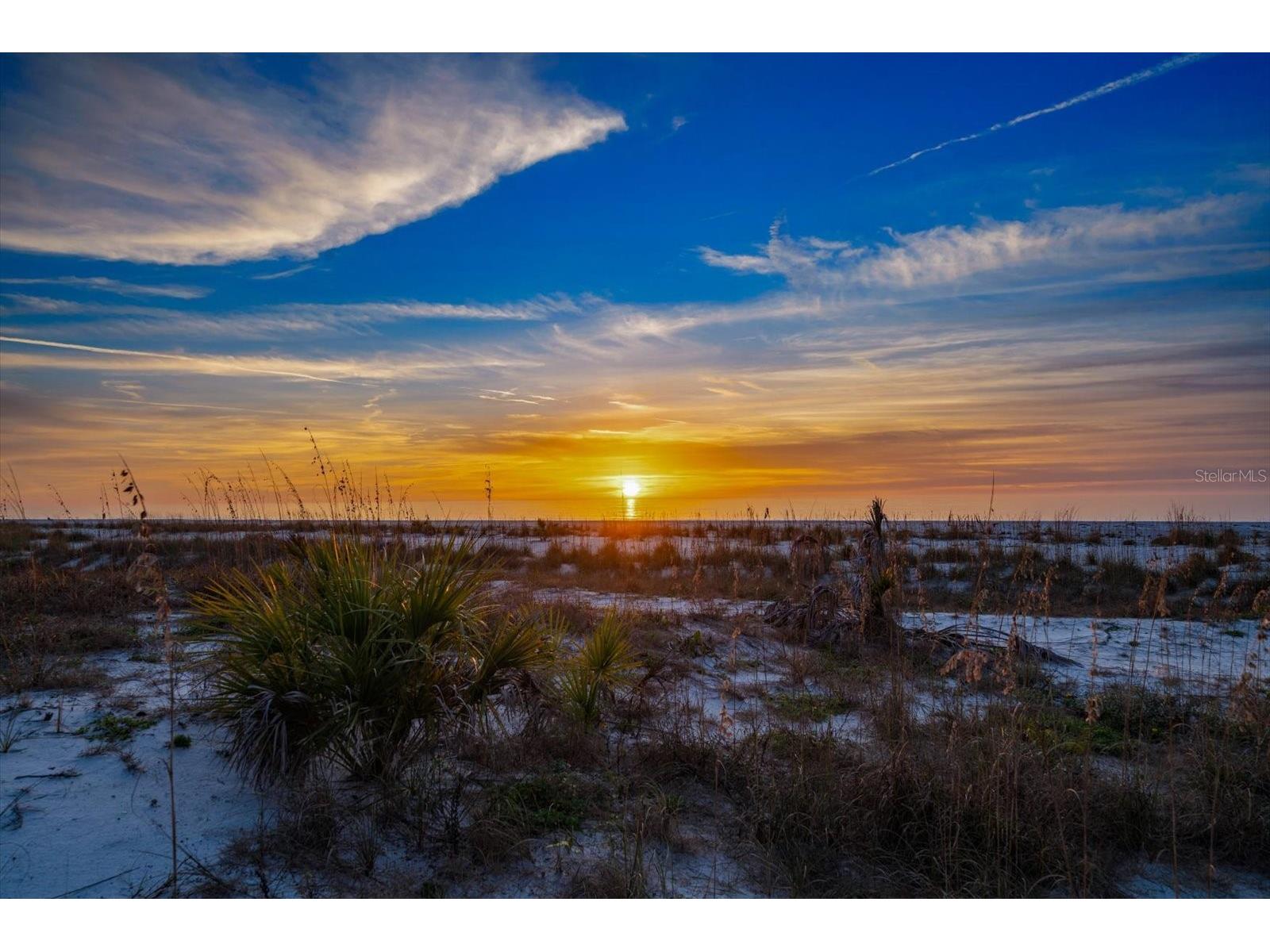 1040 Eldorado Avenue Clearwater Beach FL 33767 TB8470921 image80