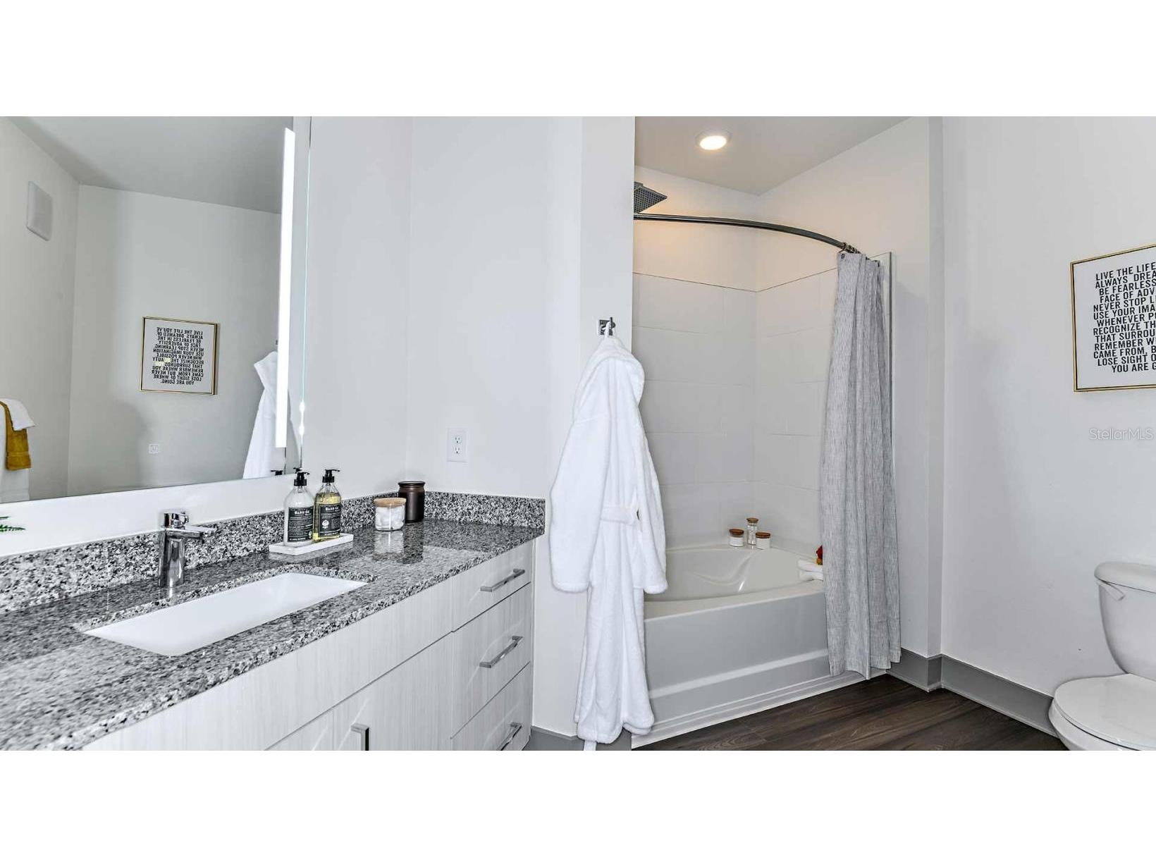 1040 Jamison Loop #RELAX Kissimmee FL 34744 O6391462 image16