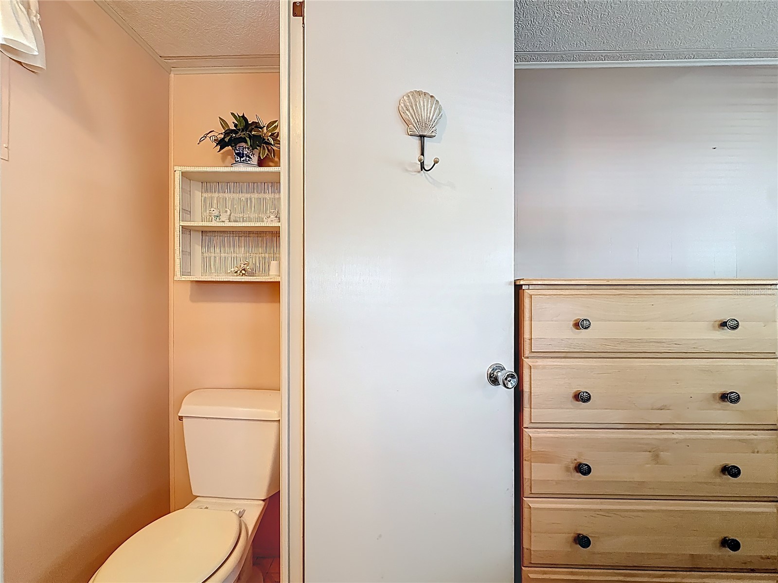 1040 Main Street #162 Dunedin FL 34698 TB8499855 image19