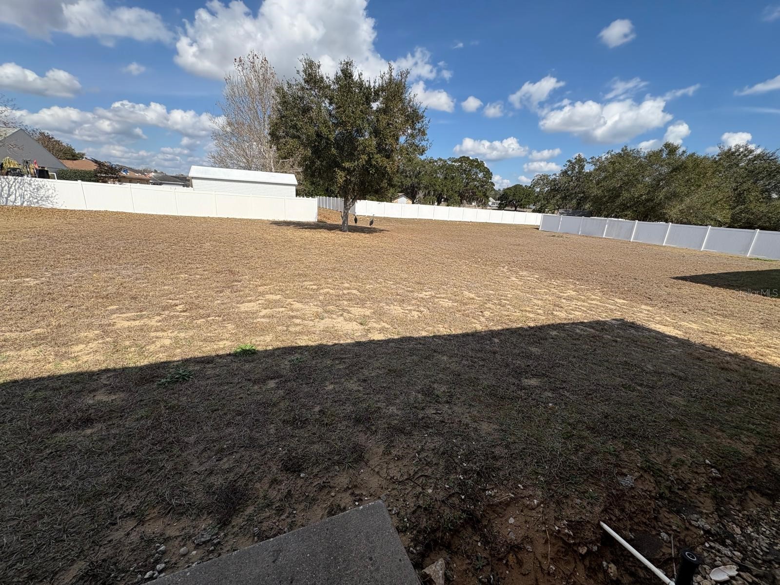 1040 Merrimack Boulevard Davenport FL 33837 O6383448 image15